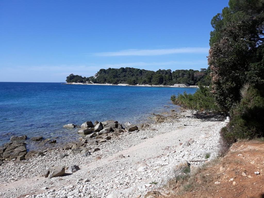 Seaview Apartment Rovinj Exterior foto